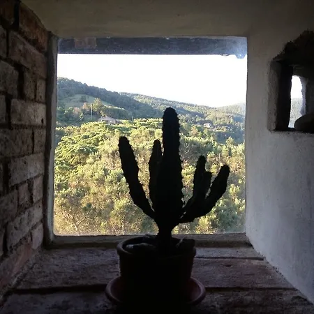 Bed & Breakfast La Fattoria Di 3*